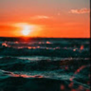 Meet your Posher, Maya_covers21